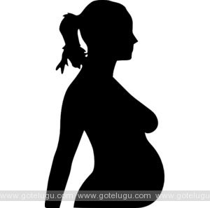 precautions for pregnants