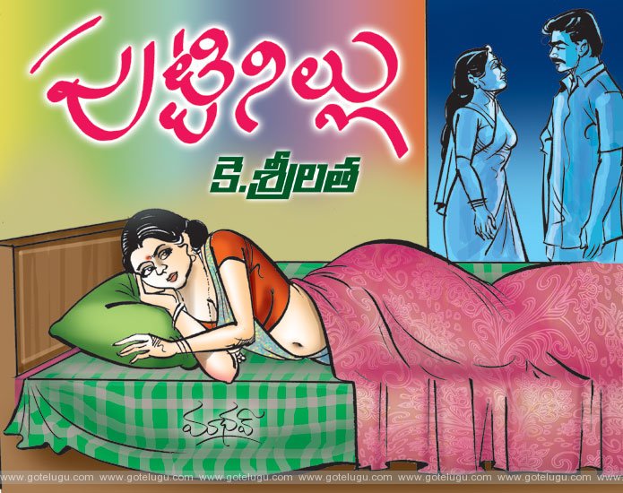 puttinillu telugu story