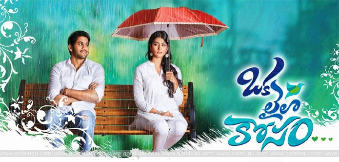 Movie Review - Oka Laila Kosam