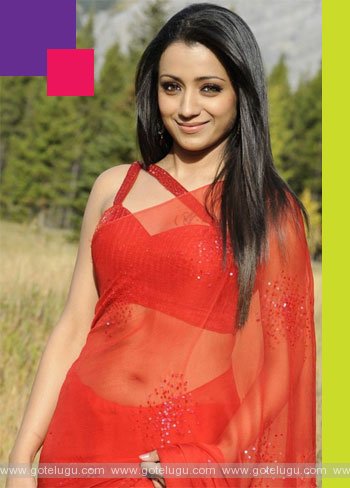 trisha marriage soon