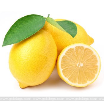 lemon specialty