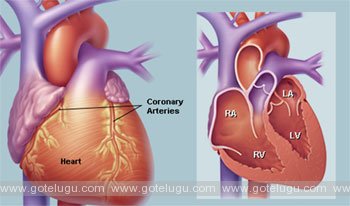 bad habits part  in heart  attack