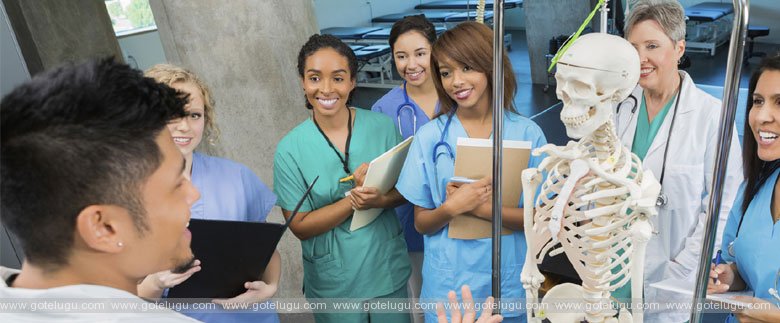 engineering or medicine engineering or medicine