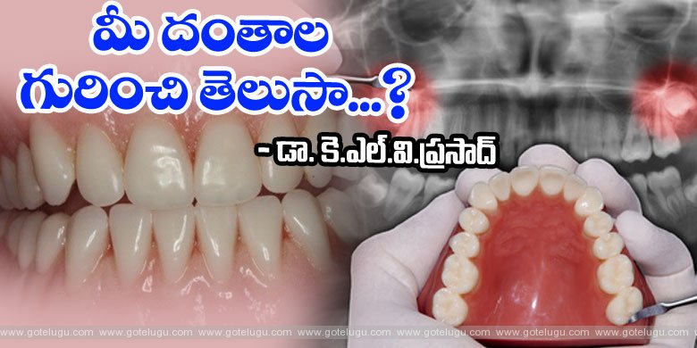 Learn about your .. teeth .. !!