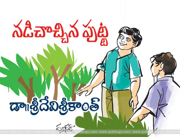 నడిచొచ్చిన పుట్ట నడిచొచ్చిన పుట్ట