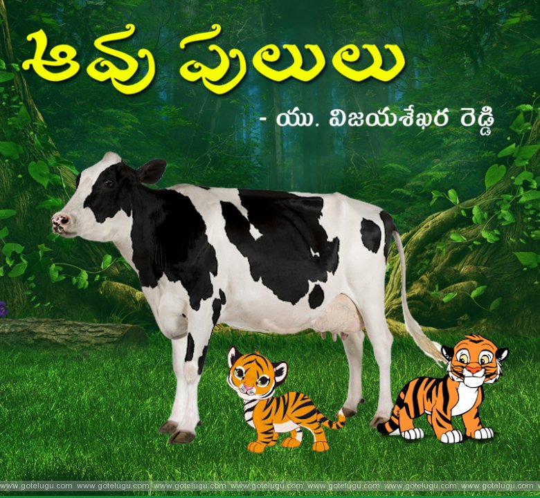 Cow and Tigers