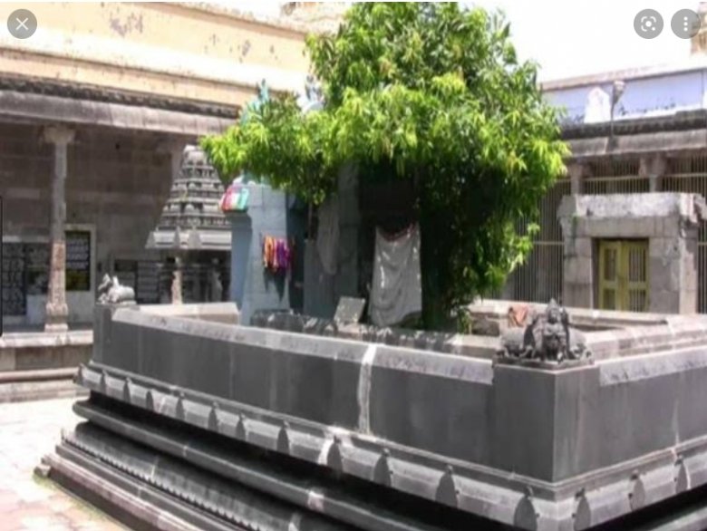 ఏకాంబరేశ్వరుడు.శివకంచి. ఏకాంబరేశ్వరుడు.శివకంచి.