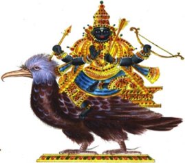 కాకి ప్రాముఖ్యత కాకి ప్రాముఖ్యత