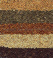 Millets