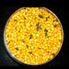 Bundi Curry