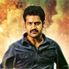 young tiger NTR  rabhasa on august 15th