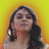 hansika feels comfort in south