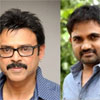 venky hit  guarenty with maruti