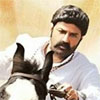 balakrishna ready to horse ride