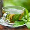 green tea uses