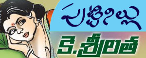 puttinillu telugu story