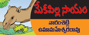 mekapilla saayam telugu story