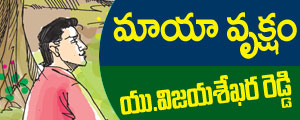 mayavruksham
