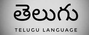 తెలుగు భాష