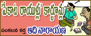 Pekata Rayullu Cartoons