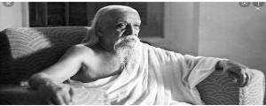 అరబిందో.