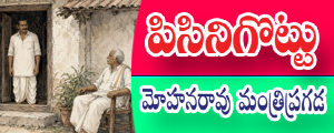 Pisinikottu