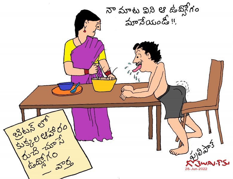 కుక్క తిండి