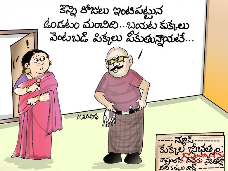 కుక్కలు