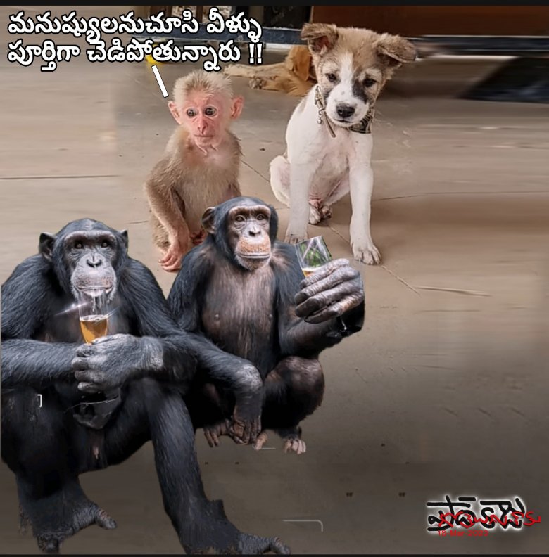 అనుకరణ .