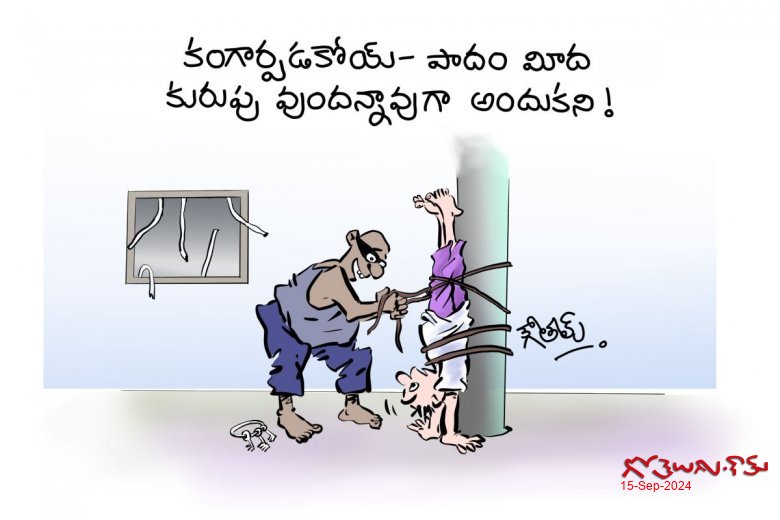 జాలి గుండెల దొంగ గారు