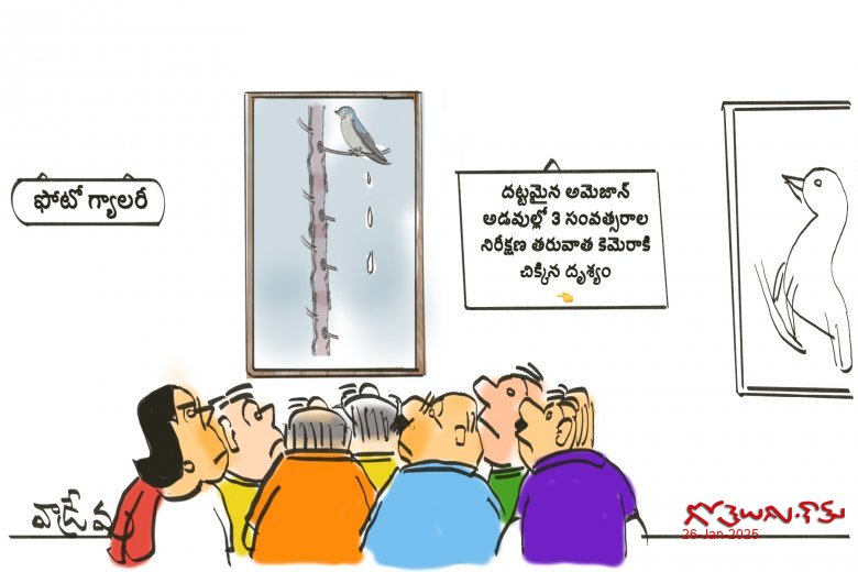 సోషల్ మీడియా!!
