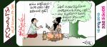 hasollasam