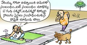 పెళ్లి సంబంధాలు