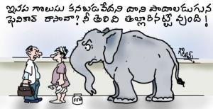 elephant fevicol
