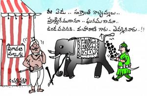 ఘన గొబ్బెమ్మ