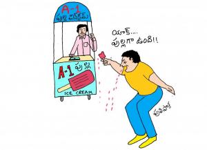 Pulla Ice