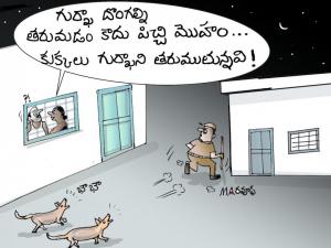 కుక్కలు