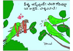 చిలకా గోరింక
