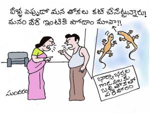 Lizard's Tension!