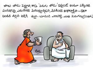పెరుగు తోడు