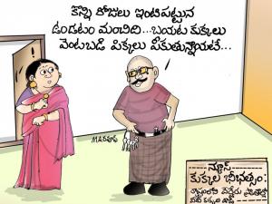 కుక్కలు