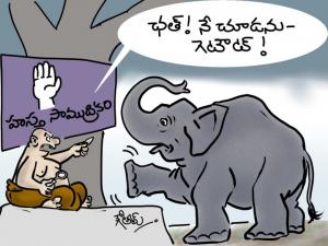 ఏనుగు హస్త సాముద్రికం