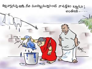 బాతుకి నీలిమందు