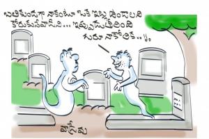 సొంత ఇల్లు!!
