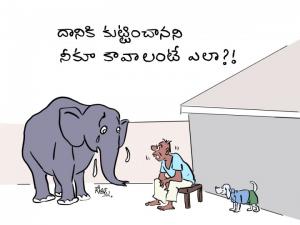 నాకూ   కావాలే ....!