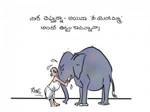 Elephant affends