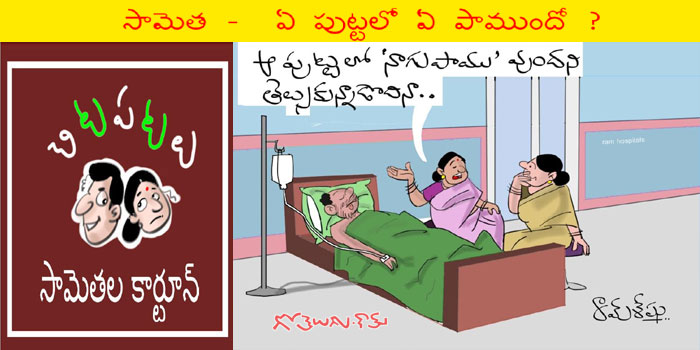 Rajaadhiraja Cartoon