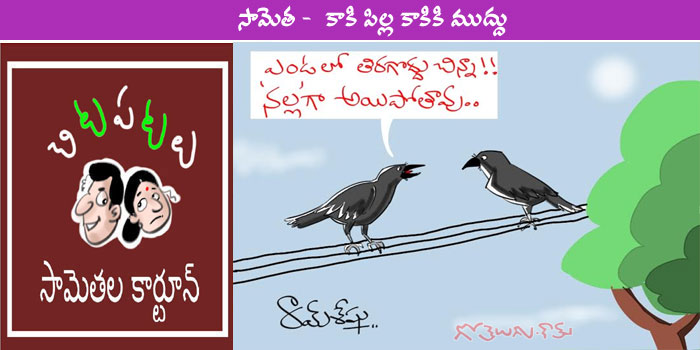 Rajaadhiraja Cartoon