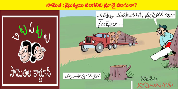 Rajaadhiraja Cartoon