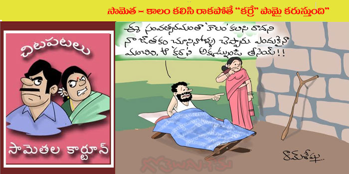 Rajaadhiraja Cartoon